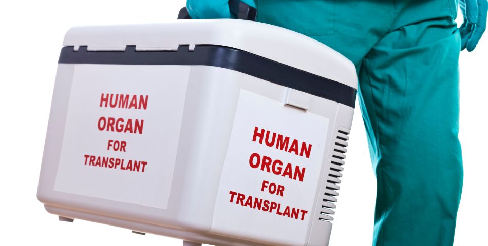 Ethical Legal Rules Deceased Organ Donation